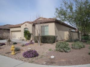 4308 W Diburgo Drive Anthem Arizona 85087