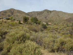 Tonto Hills 77