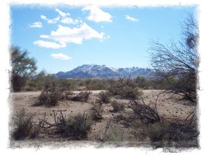 South of Rio Verde 0