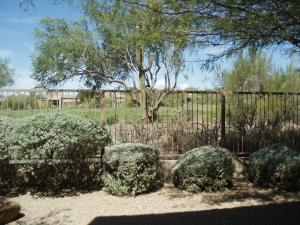 Terravita home for sale