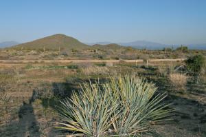 Non-HOA in Troon Area 1