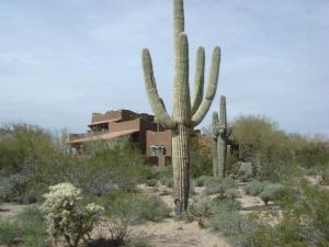 Pinnacle Peak Vistas home for sale