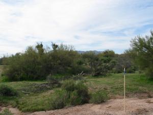 Granite Mountain 7