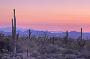 Desert Highlands 671