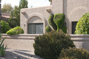 Rio Verde home for sale