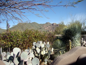 Terravita home for sale