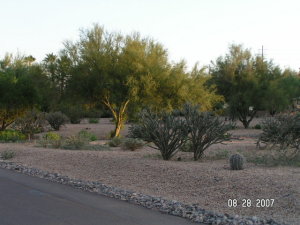 Rio Verde 411