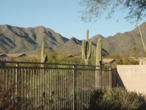 The Preserve at McDowell Mountain home for sale