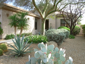 1670 SqFt - 2/2 bed/bath - $384,500
