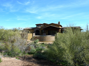 Gambel Quail home for sale