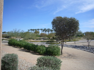 slideshow