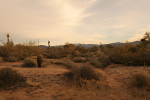 South of Rio Verde 1