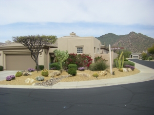 Terravita home for sale