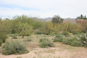 Rio Verde 1064