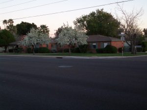 4366416