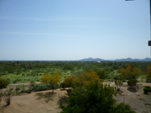 930 SqFt - 1/1 bed/bath - $70,000