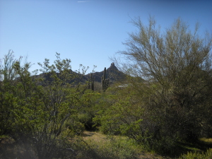 Non-HOA in Troon Area 2
