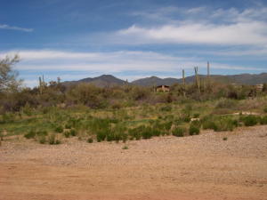 Joy Ranch 2B