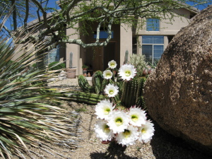 2443 SqFt - 3/2 bed/bath - $484,500