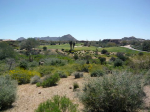 Candlewood Estates 182
