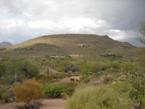 Gambel Quail Preserve 230