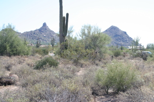 Monument at Troon North 10