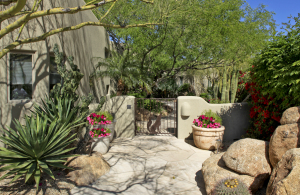 Lone Mountain (DM Area) home for sale