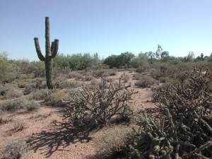 Other Boulder Area Property 0