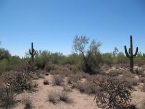 Other Boulder Area Property 0