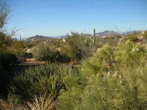 1643 SqFt - 2/2.5 bed/bath - $375,000