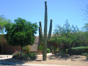 2358 SqFt - 3/2.5 bed/bath - $550,000