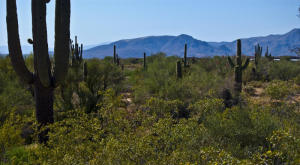 Other Boulder Area Property 2