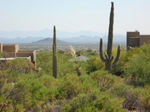 2476 SqFt - 3/3 bed/bath - $679,000