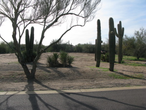 Pinnacle Peak Estates 1 26
