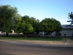 4404507