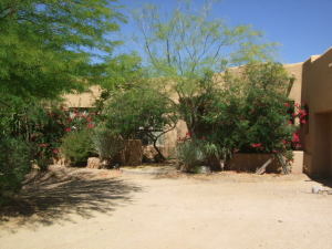 Sincuidados home for sale