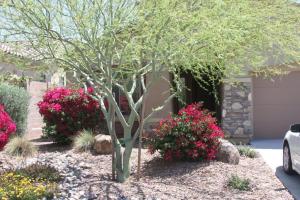 40829 N Prestancia Court Anthem Arizona 85086