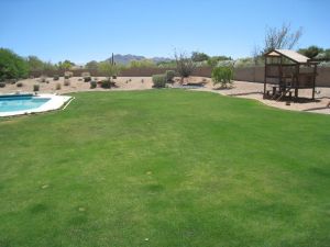Pinnacle Peak Estates home for sale