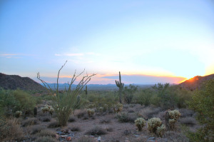 Upper Canyon at Silverleaf 1618