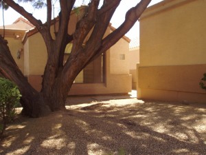 Los Portones home for sale