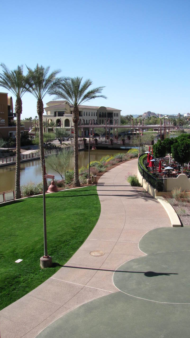 7175 E Camelback Road Unit 306 - 6772248