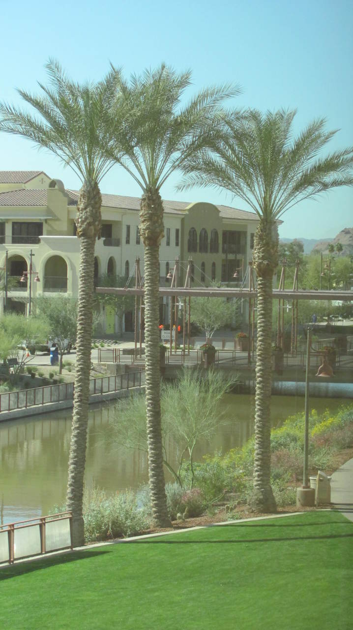 7175 E Camelback Road Unit 306 - 6772255