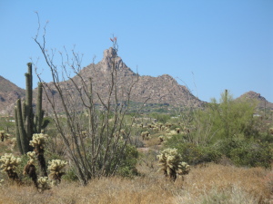 Non-HOA Pinnacle Peak Area 0