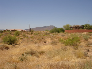 Joy Ranch 1B