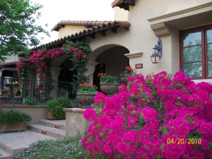 The Parks at Silverleaf home for sale