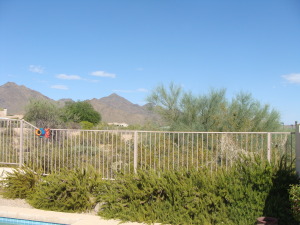 2354 SqFt - 3/2 bed/bath - $437,000