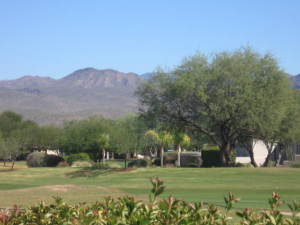 Rio Verde home for sale