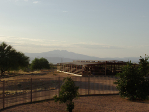 Granite Mountain Area Non-HOA Property home for sale