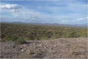 South of Rio Verde 219-38-094