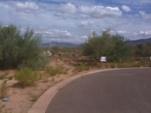 Joy Ranch 2A